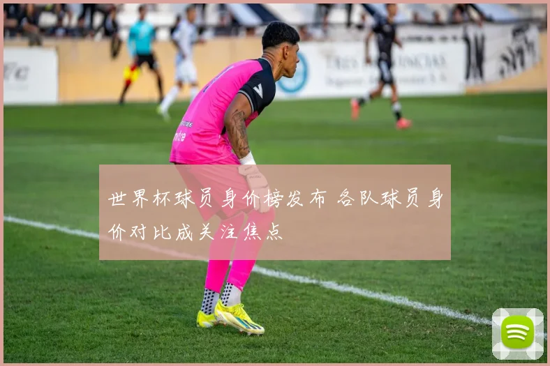 世界杯球员身价榜发布 各队球员身价对比成关注焦点