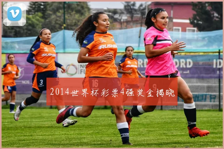 2014世界杯彩票4强奖金揭晓