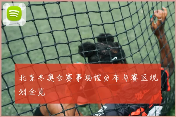 北京冬奥会赛事场馆分布与赛区规划全览